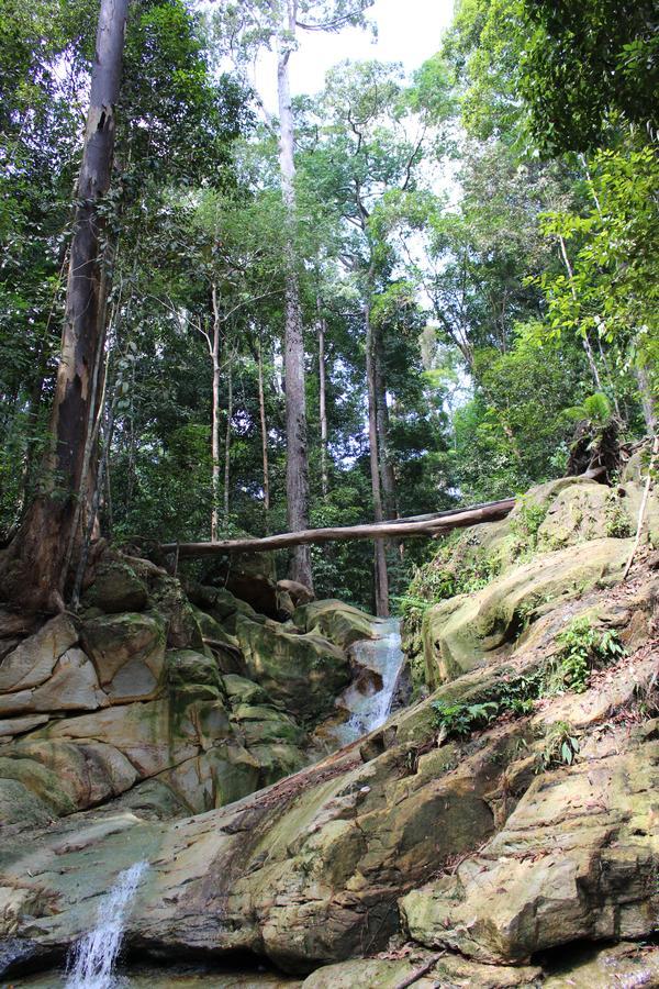 Nanga Damai Homestay Santubong Zewnętrze zdjęcie